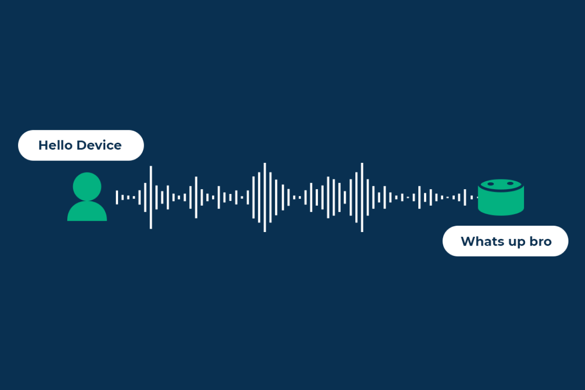 Voice User Interface (VUI)